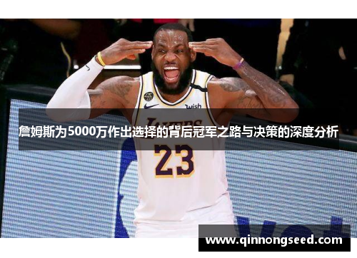 詹姆斯为5000万作出选择的背后冠军之路与决策的深度分析